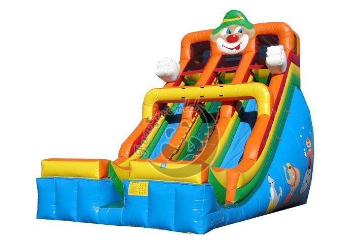 Inflatable Circus Dry Slide FWD173