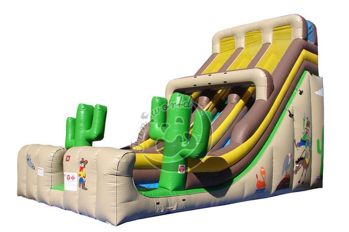 Cactus Inflatable Dry Slide FWD174