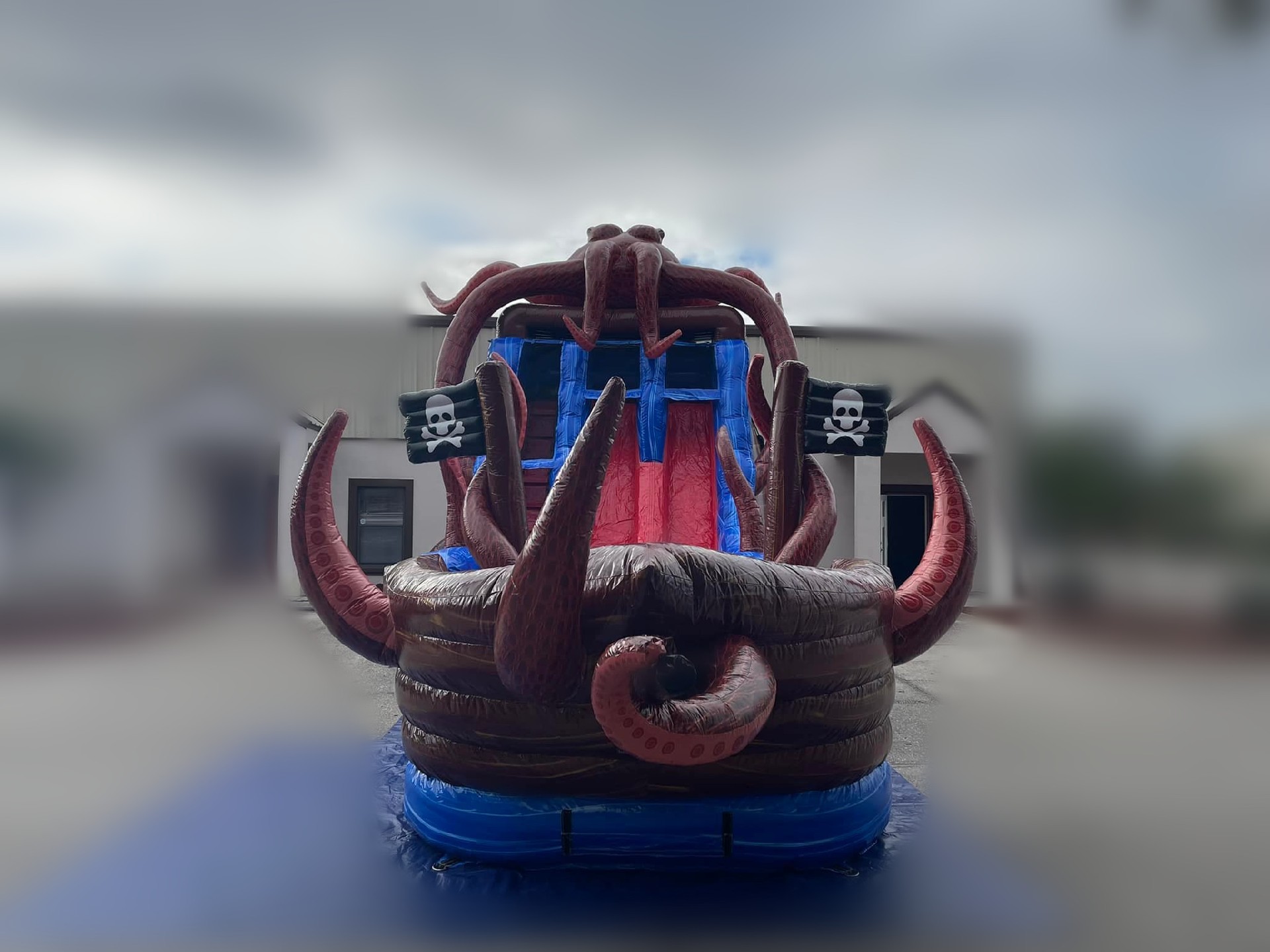 Inflatable Octopus Water Slide FWS196