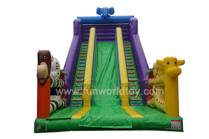 Inflatable Dry Slide FWD206