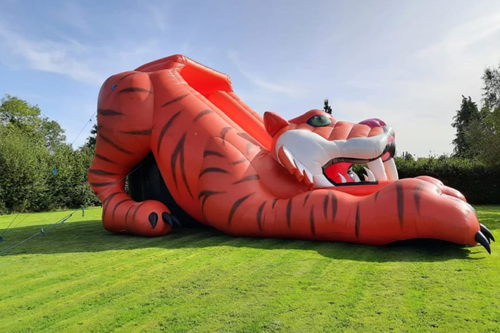 Attractive inflatable tiger dry slide FWD271
