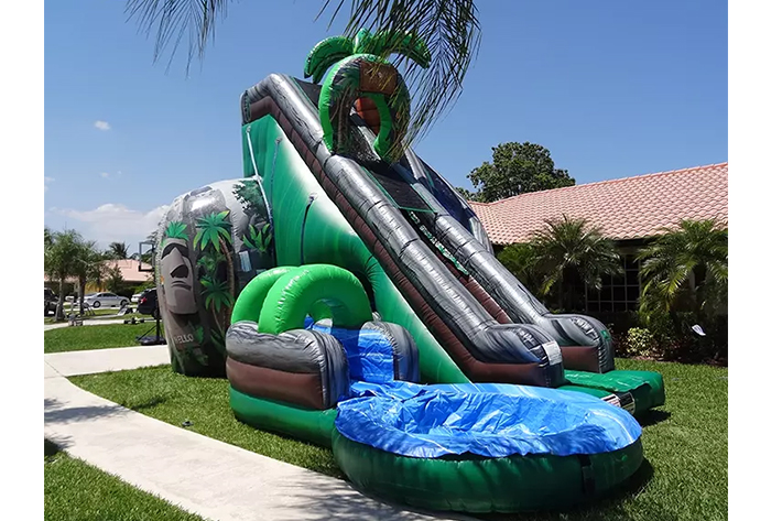 Coconut Falls Backyard Inflatable Water Slide FWS379