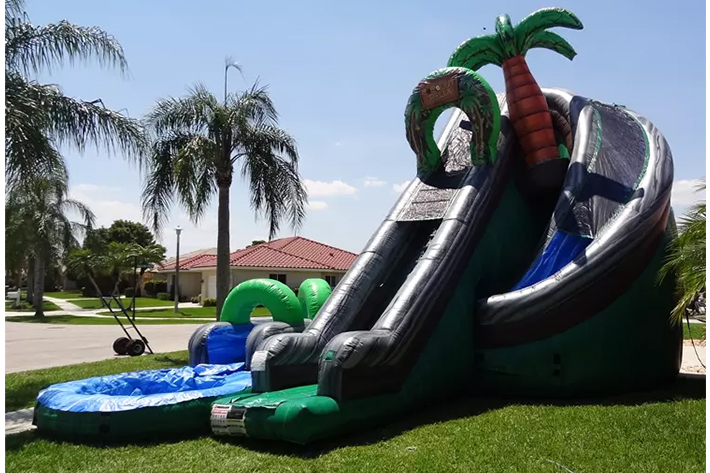 Coconut Falls Backyard Inflatable Water Slide FWS379