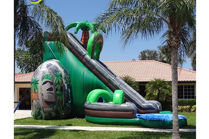 Coconut Falls Backyard Inflatable Water Slide FWS379