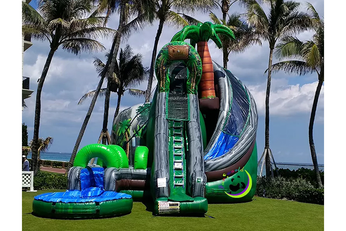 Coconut Falls Backyard Inflatable Water Slide FWS379