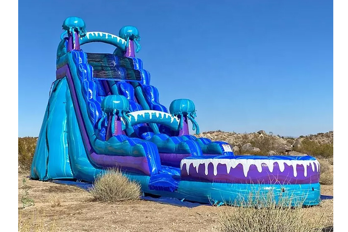 PVC Inflatable Water Slide FWS377