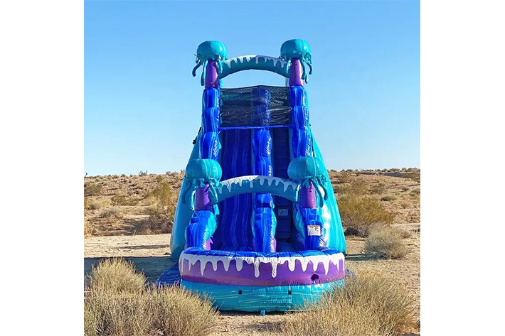 PVC Inflatable Water Slide FWS377