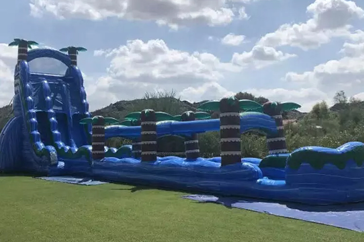 Giant Inflatable Adult Inflatable Water Slides FWS360