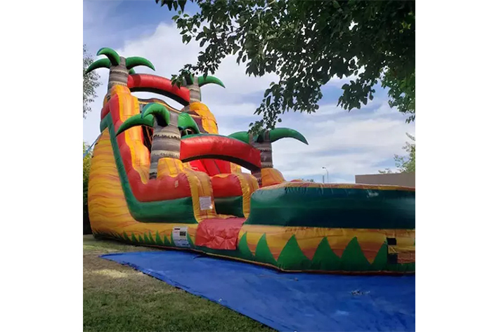 Palm tree inflatable water slide FWS359