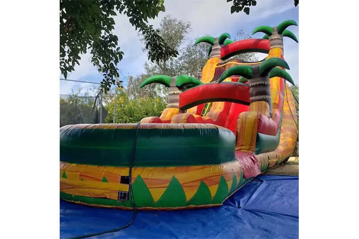 Palm tree inflatable water slide FWS359