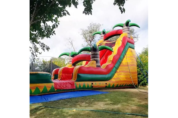 Palm tree inflatable water slide FWS359