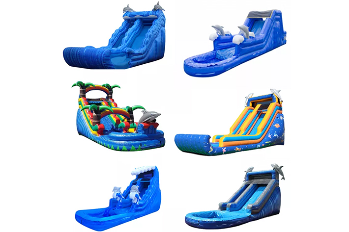 Dolphin inflatable water slide FWS359