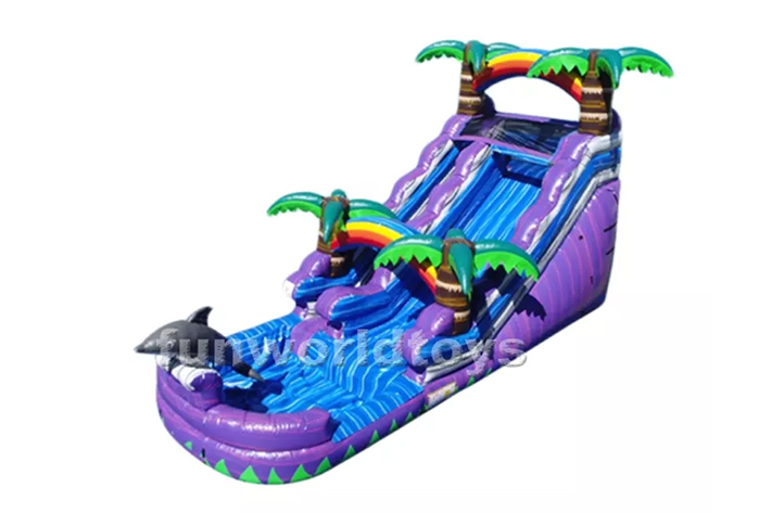 Purple dolphin water slides FWS332