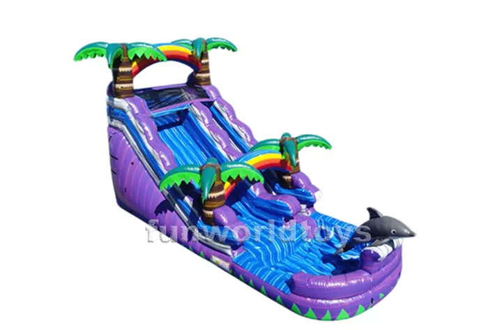 Purple dolphin water slides FWS332