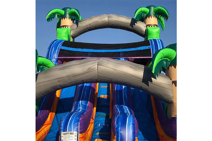 Dual lane inflatable water slide FWS281