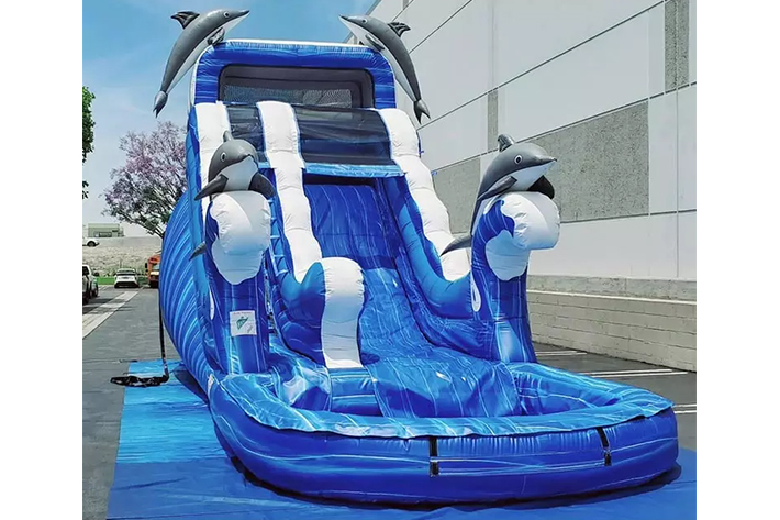 Blue Dolphin Inflatable Water Slide FWS280