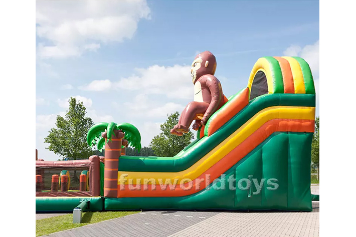 Commercial Custom Durable Inflatable Bouncing House with Slide FWD236