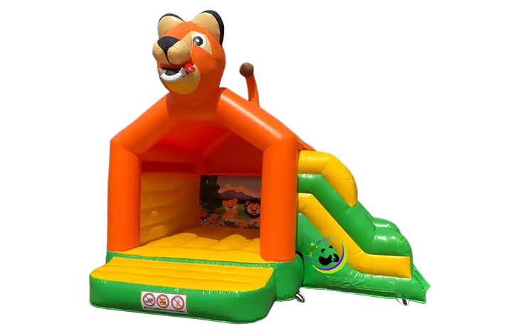 Dog Inflatable Dry Slide FWZ225