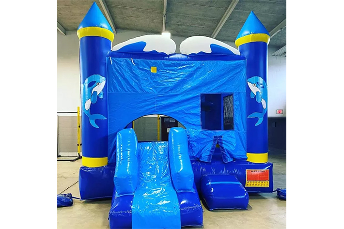 Inflatable Water Park Amusement FWZ272