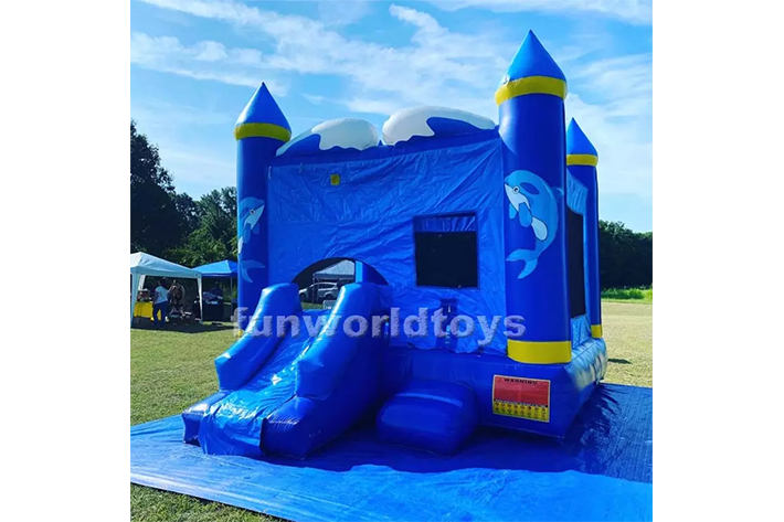 Inflatable Water Park Amusement FWZ272