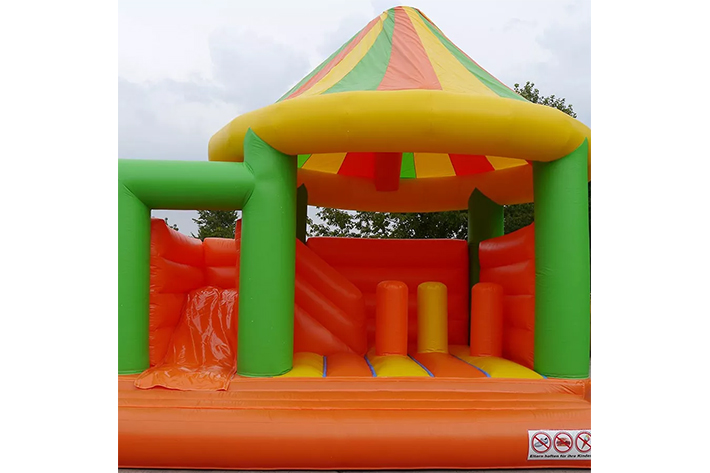 Circus inflatable bouncers with slide FWZ291