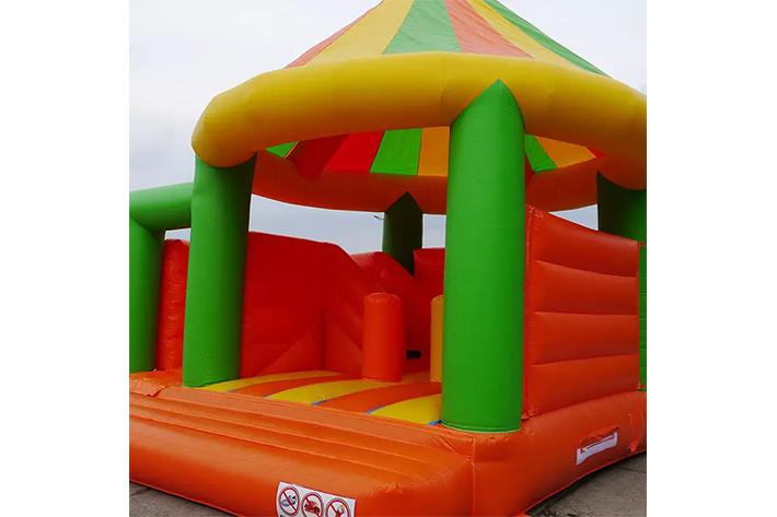 Circus inflatable bouncers with slide FWZ291