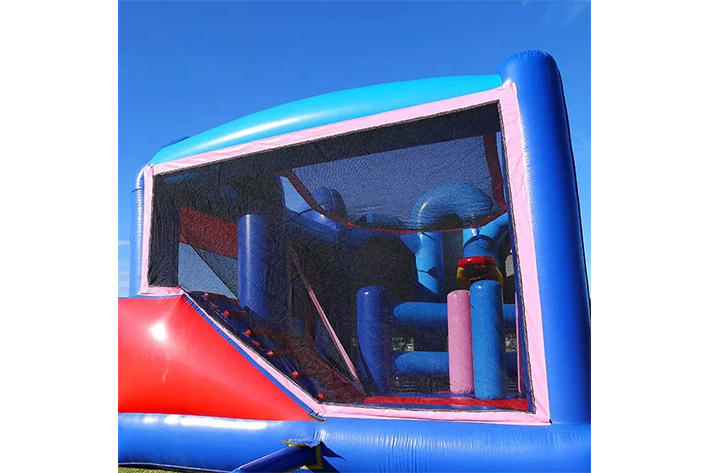 Frozen bounce house with slide FWZ325