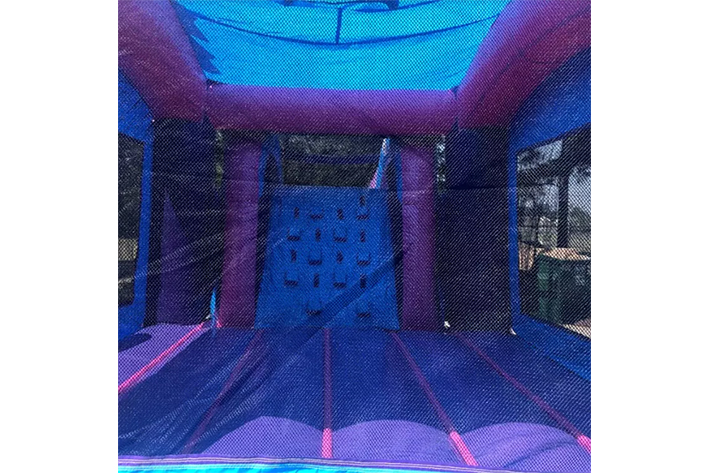 Pink Blue bounce house with slide FWZ324