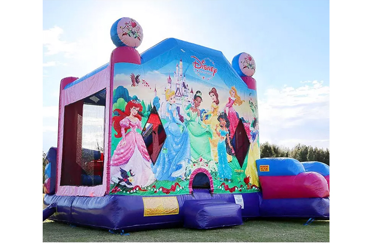 Princess Bounce House With Slide FWZ426