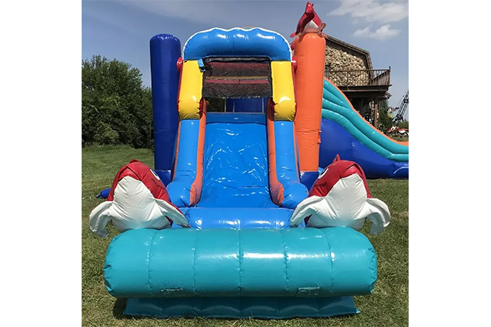 Cheap inflatable bounce house combo FWZ315