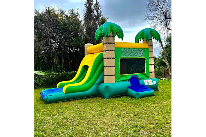 Classic bounce house with slide FWZ330