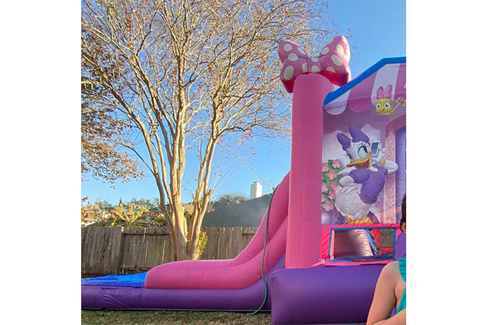 Lovely Inflatable bounce house with slide FWZ353
