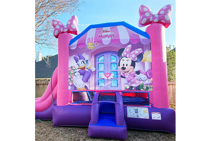 Lovely Inflatable bounce house with slide FWZ353