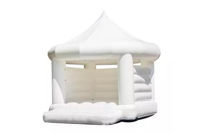 Commercial Inflatable Bounce House with Slide FWW25