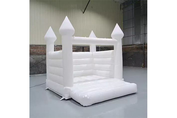 Commercial Inflatable Bounce House with Slide FWW25