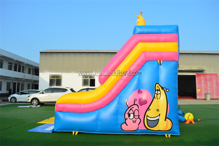 Inflatable Cromissi Water Slide FWS412