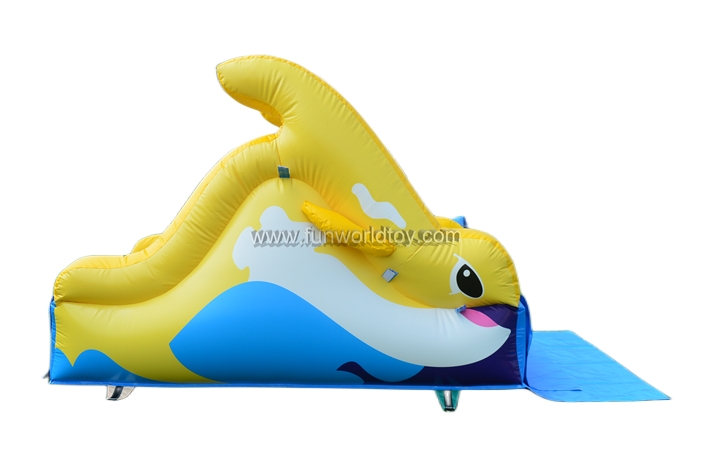 Yellow Dolphin Dry Slide FWD285