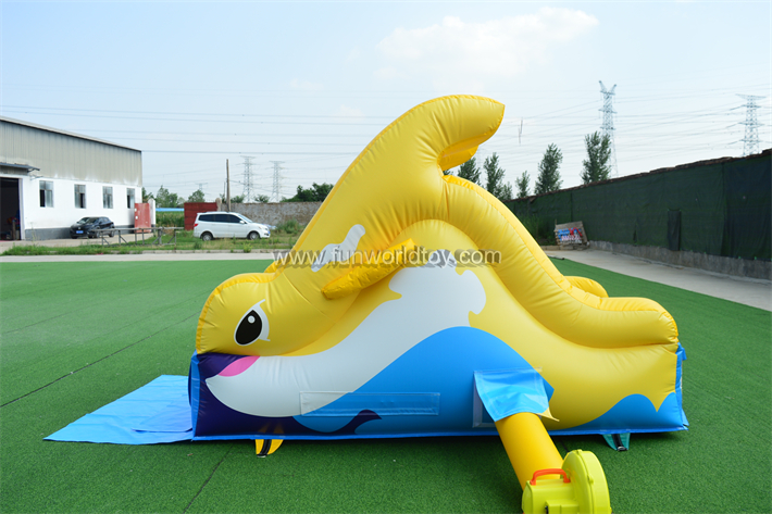 Yellow Dolphin Dry Slide FWD285