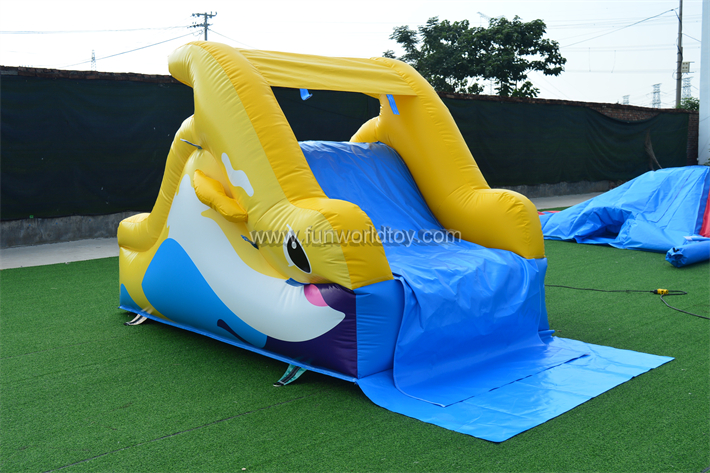 Yellow Dolphin Dry Slide FWD285